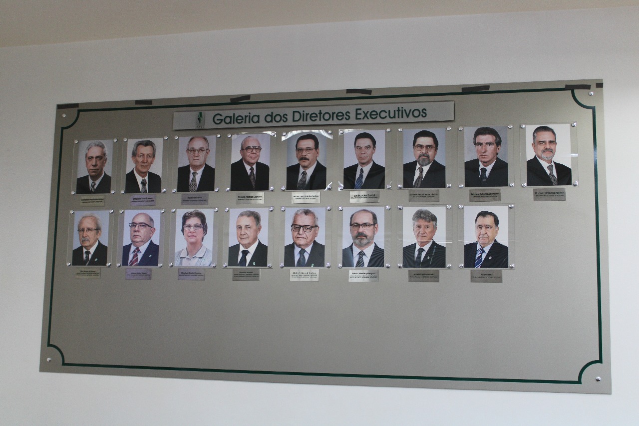 Imagem da notícia 4