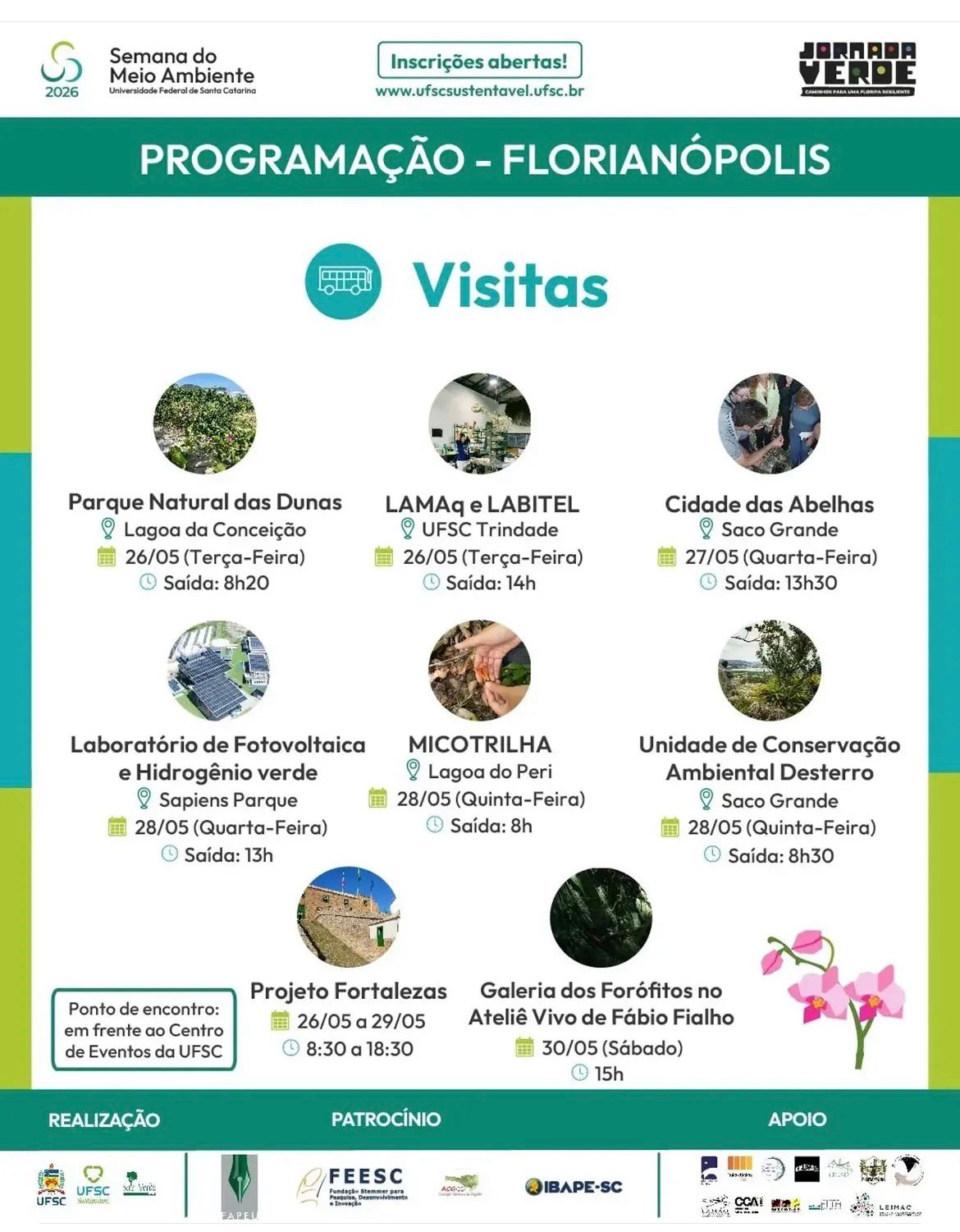 Imagem da notícia 2