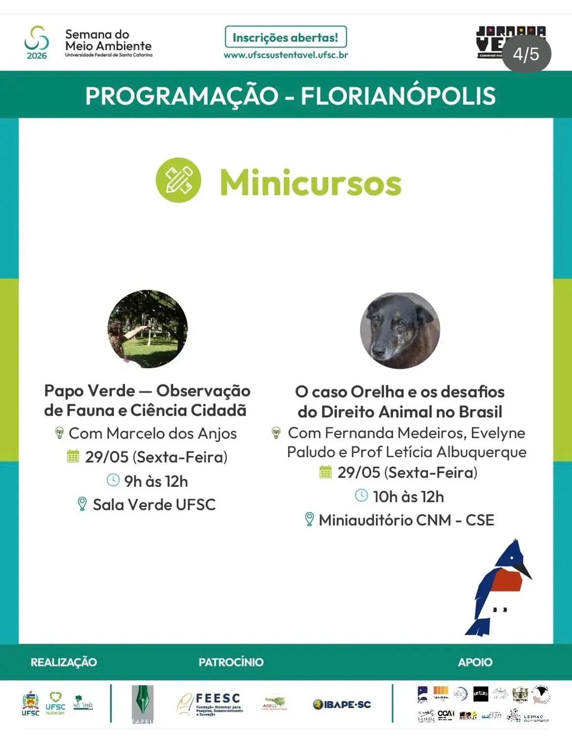 Imagem da notícia 4