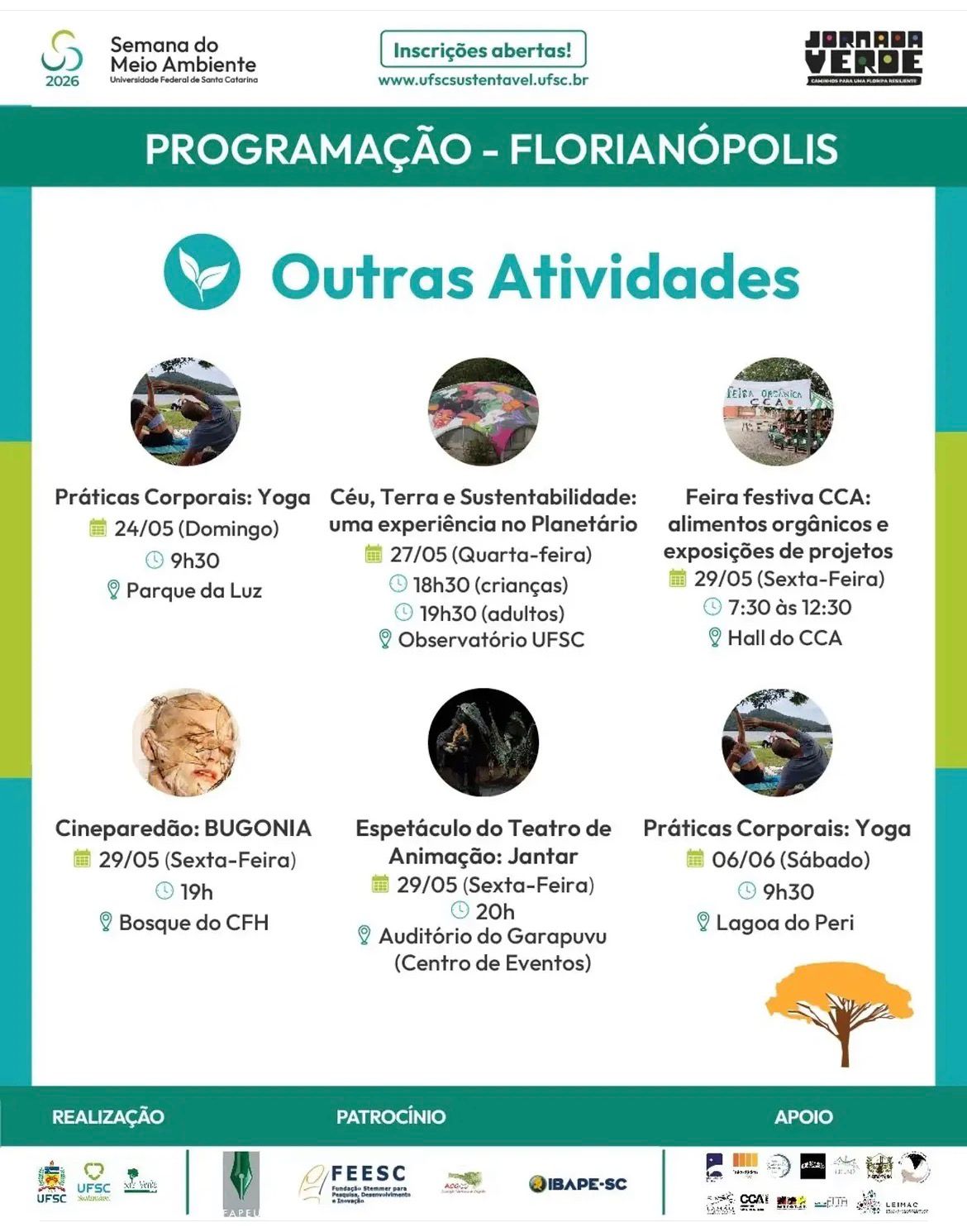 Imagem da notícia 5